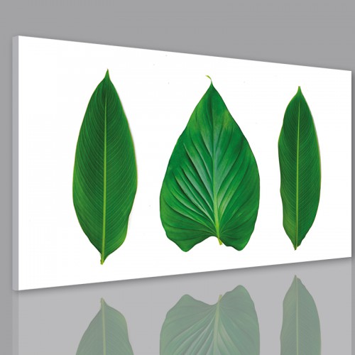 Obraz na ścianę do sypialni salonu monstera 41212 - zdjęcie 2