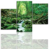 Tryptyk do salonu - Pejzaż, las, strumień 12016 Naklejkomania - zdjecie 1 - miniatura