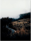 Plakat Droga ,las, mgła 61071 Naklejkomania - zdjecie 2 - miniatura