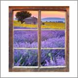 Naklejka na ścianę, dziura 3D okno widok łąka kwiaty wrzosy 3179 Naklejkomania - zdjecie 2 - miniatura