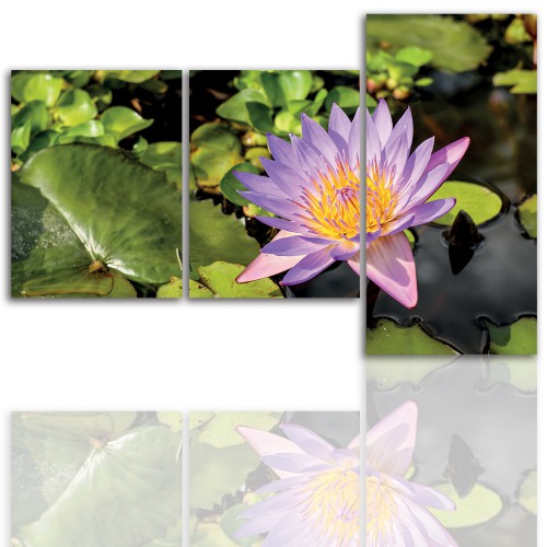 Tryptyk do salonu -  Kwiaty, lotos, lilia 12132 Naklejkomania - zdjecie 1
