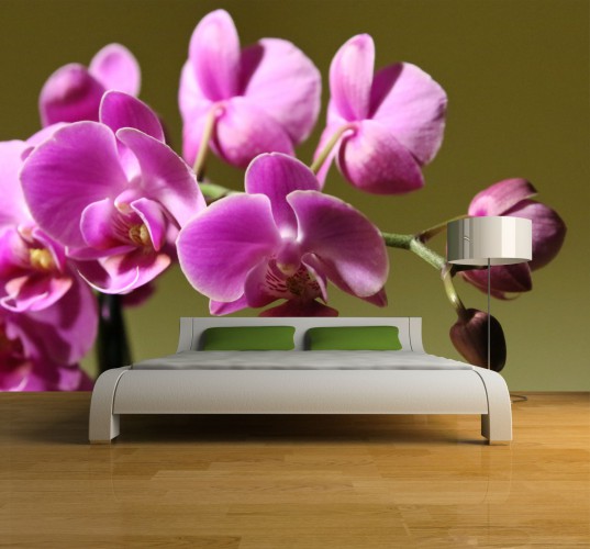 Fototapeta na ścianę tapeta na fizelinie do sypialni  kwiat storczyk orchidea wzór 10016