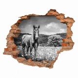 Naklejka na ścianę, dziura 3D  cegły koń łąka 3197 Naklejkomania - zdjecie 2 - miniatura