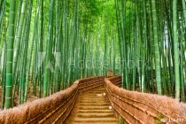 Kyoto, Japan Bamboo Forest Naklejkomania - zdjecie 1 - miniatura