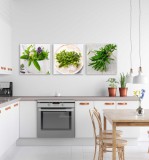 Obraz trzyczęściowy na ścianę do kuchni zioła 20237 Naklejkomania - zdjecie 2 - miniatura