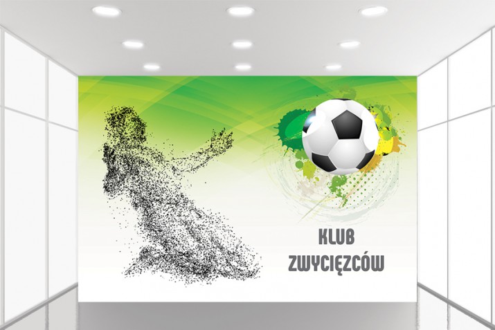 Fototapeta na ścianę tapeta na fizelinie 10566