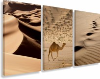 Obrazy na ścianę sypialni, salonu pustynia, wielbłąd 20273 Naklejkomania - zdjecie 1 - miniatura