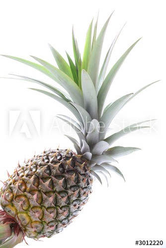   pineapple  4312