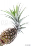   pineapple  4312 Naklejkomania - zdjecie 1 - miniatura