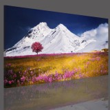 Obraz na ramie płótno canvas- pejzaż, góry, łąka 15070 Naklejkomania - zdjecie 3 - miniatura