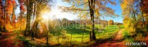 Zauberhafte Landschaft im Herbst: sonniges Panorama von ländlicher Idylle Naklejkomania - zdjecie 1 - miniatura