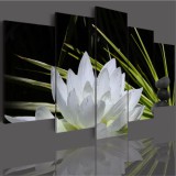 Obraz  5-częściowy- kwiaty pejzaż biały lotos kamienie 504 Naklejkomania - zdjecie 3 - miniatura