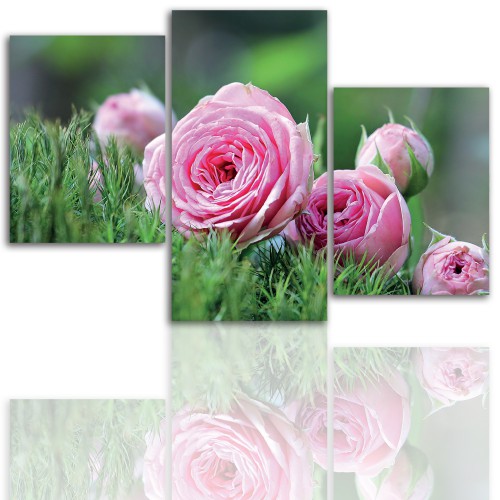 Tryptyk do salonu - Kwiaty, róże, pąk 12109 Naklejkomania - zdjecie 1