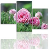 Tryptyk do salonu - Kwiaty, róże, pąk 12109 Naklejkomania - zdjecie 1 - miniatura