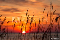 Chesapeake Bay Sunrise Naklejkomania - zdjecie 1 - miniatura