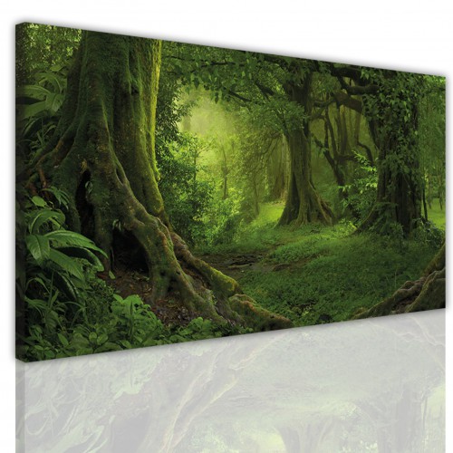 Obrazy ścienne na ramie 15163 tajemniczy las