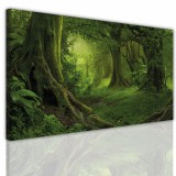 Obrazy ścienne na ramie 15163 tajemniczy las Naklejkomania - zdjecie 1 - miniatura
