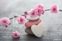 fleurs zen Naklejkomania - zdjecie 1 - miniatura