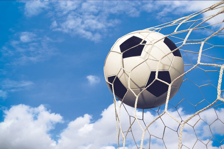 Fototapeta na ścianę tapeta na fizelinie bramka gol siatka 10164 - zdjęcie 2