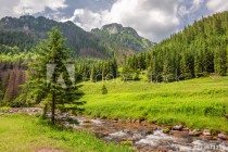Stunning small stream in Koscieliska valley, Tatra mountains Naklejkomania - zdjecie 1 - miniatura