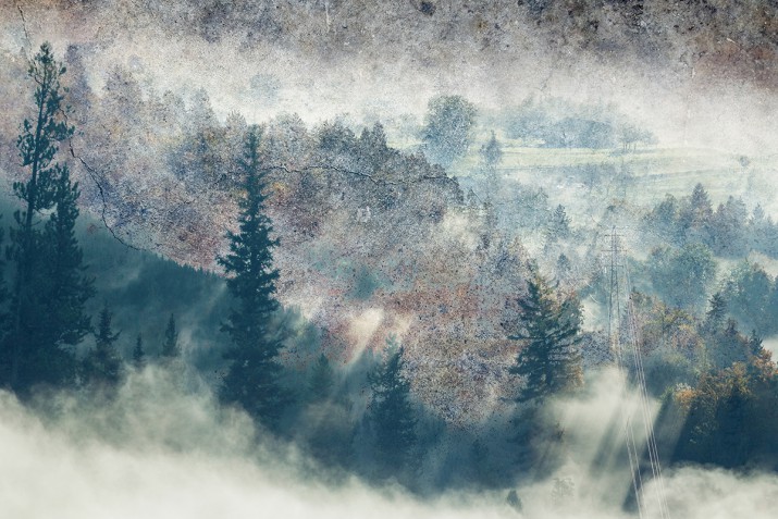 Fototapety ścienne tapeta na ścanę mglisty las 41500 - zdjęcie 2