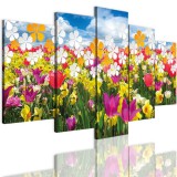 Obrazy 5 częściowe- Kwiaty, łąka 12327 Naklejkomania - zdjecie 1 - miniatura