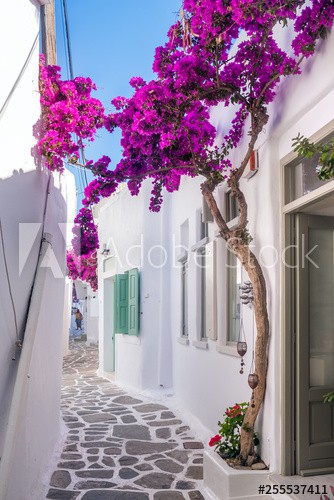 Fototapety na ścianę Uliczka kwiaty Paros 42388 - zdjęcie 3