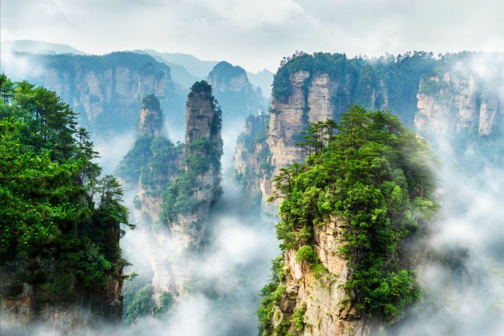 Fototapety Fotatapeta na ścianę Zhangjiajie- kraina Avatara 248781572 CHIŃSKI AVATAR - zdjęcie 2