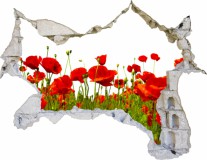 Naklejka na ścianę, dziura 3D łąka kwiaty maki 3513 Naklejkomania - zdjecie 2 - miniatura
