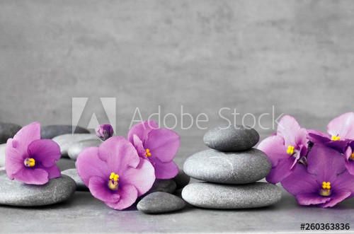 Blue flower and stone zen spa on grey background