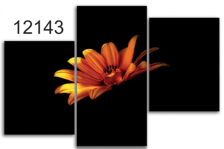 Tryptyk do salonu - Kwiaty, margaretka 12143 Naklejkomania - zdjecie 1
