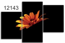 Tryptyk do salonu - Kwiaty, margaretka 12143 Naklejkomania - zdjecie 1 - miniatura