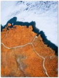 Stylowy plakat zimowy krajobraz 61004 Naklejkomania - zdjecie 1 - miniatura