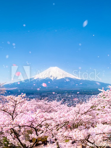 Berg Fuji während der  Kirschblüte in Japan