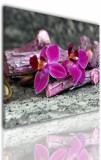 Obrazy jednoczęściowe- Kwiaty, orchidea 524 Naklejkomania - zdjecie 1 - miniatura