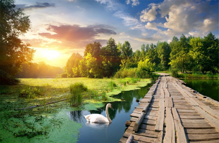 Fototapety Fotatapeta na ścianę 81709769  zaczarowane jezioro - zdjęcie 2