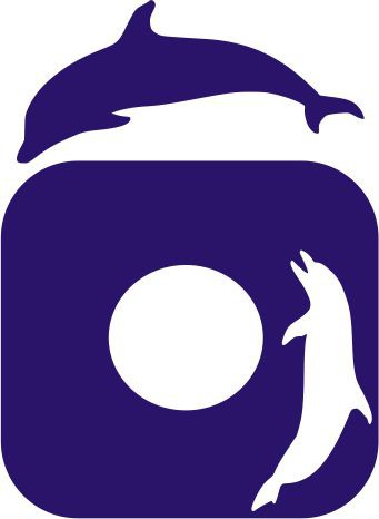 Naklejka pod kontakt włącznik- Delfiny 46 Naklejkomania - zdjecie 1