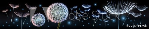 Pusteblumen und Glühwürmchen - zdjęcie 1