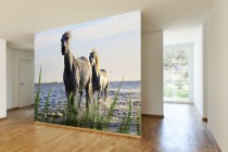 Fototapeta na ścianę tapeta na fizelinie do salonu sypialni  konie jezioro 10584 Naklejkomania - zdjecie 1 - miniatura