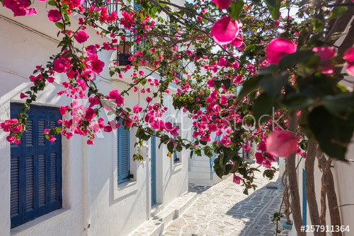 Fototapeta na ścianę uliczka Naoussa, Paros, Grecja 42384 - zdjęcie 3