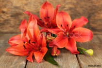Beautiful lily on wooden background Naklejkomania - zdjecie 1 - miniatura