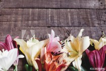 beautiful colorful lily flower on rustic wooden background. gorgeous bloom lilies on rustic wood backdrop. space for text. greeting card. celebration concept. spring background, top view. Naklejkomania - zdjecie 1 - miniatura