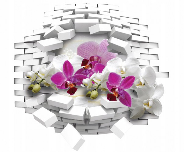 Naklejka na ścianę, dziura 3D  kwiaty, storczyk, orchidea 9561 - zdjęcie 2