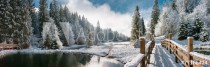Зимний лес в Карпатах Naklejkomania - zdjecie 1 - miniatura
