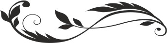 Bordery na ścianę, motyw 5098 - zdjęcie 2