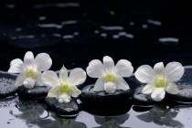 Maskownica mata magnetyczna na grzejnik kaloryfer 64347548 biała orchidea z kamieniami Naklejkomania - zdjecie 2 - miniatura