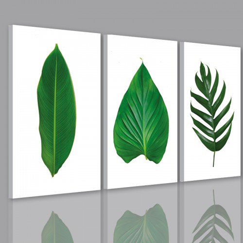 Obrazy na ścianę do salonu  sypialni 41219 liście monstera - zdjęcie 2