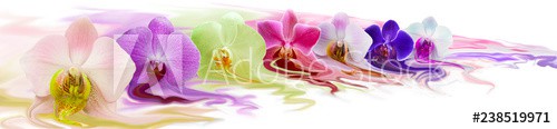 The flowers seem to dissolve and leave a bright color