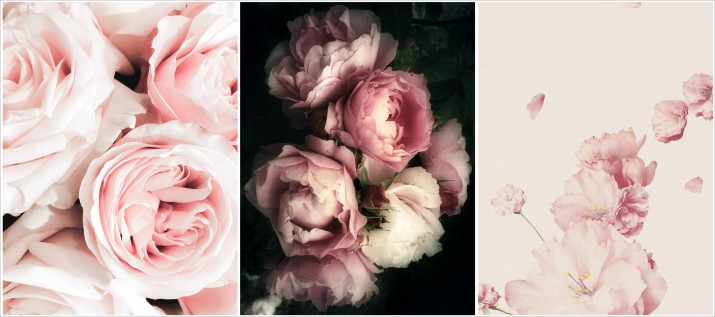 Komplet trzech plakatów w ramie piwonie  KP080 - zdjęcie 2