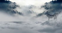 Tapeta Flizelinowa na ścianę wilk w mgle 44001 Naklejkomania - zdjecie 2 - miniatura